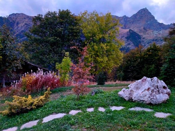 Osho Mokurai, Italy