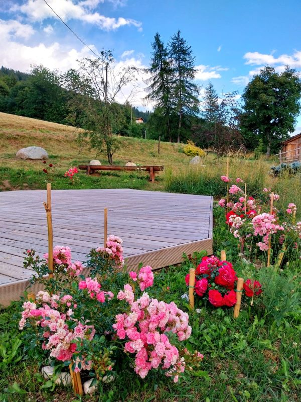 Osho Mokurai, Italy