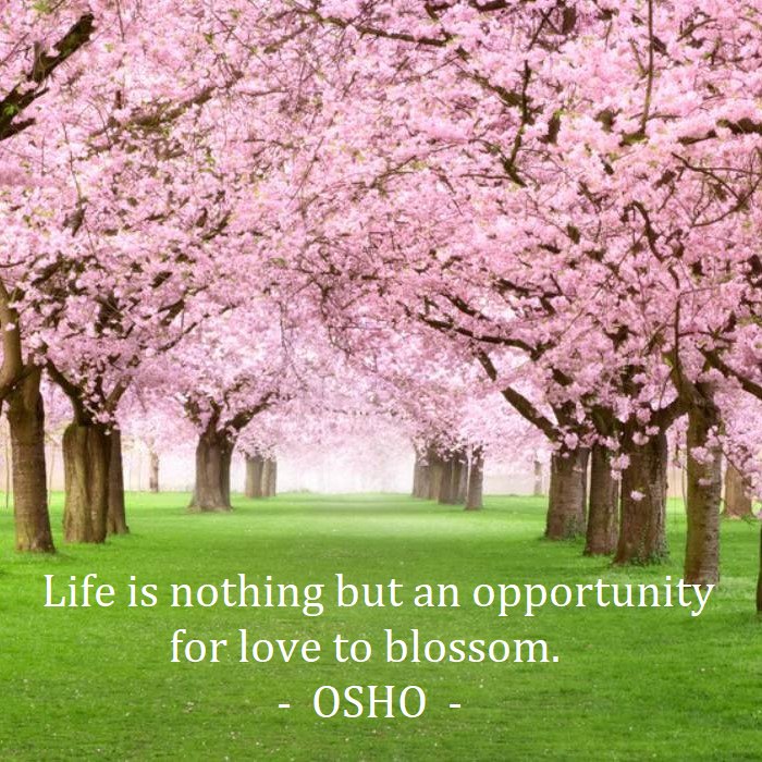 A quote by Osho