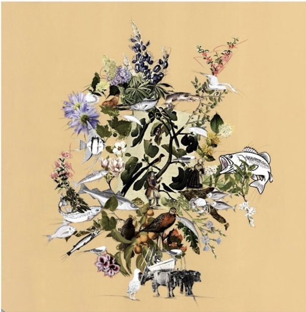 Collage by Samudra