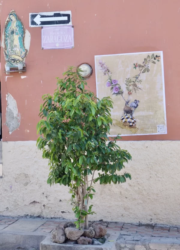 Ajijic, Mexico, Calle Zaragoza