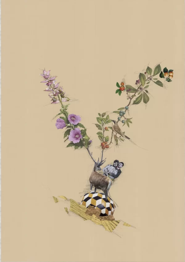 Collage by Samudra