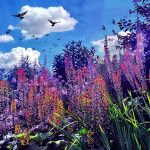 Photo by Michael Sudheer