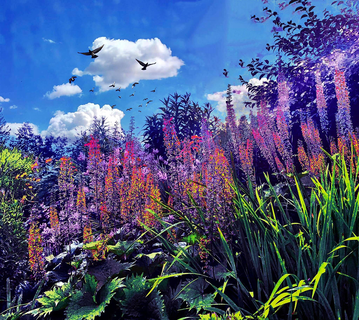 Photo by Michael Sudheer