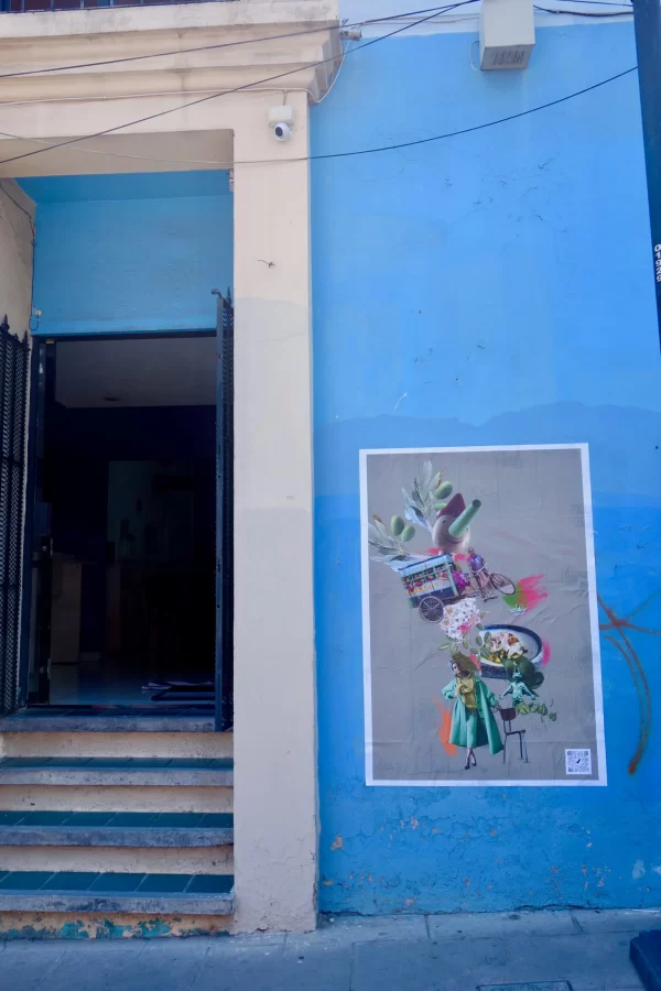 Oaxaca City, Mexico, Calle Porfirio Díaz