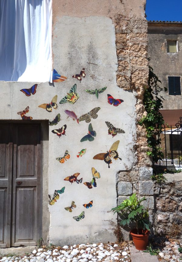 Binissalem, Mallorca, Spain