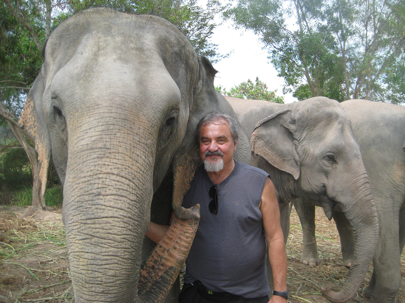 Yuri with elephants