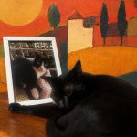 Two cats