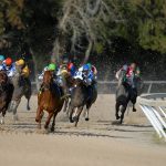 Horse race