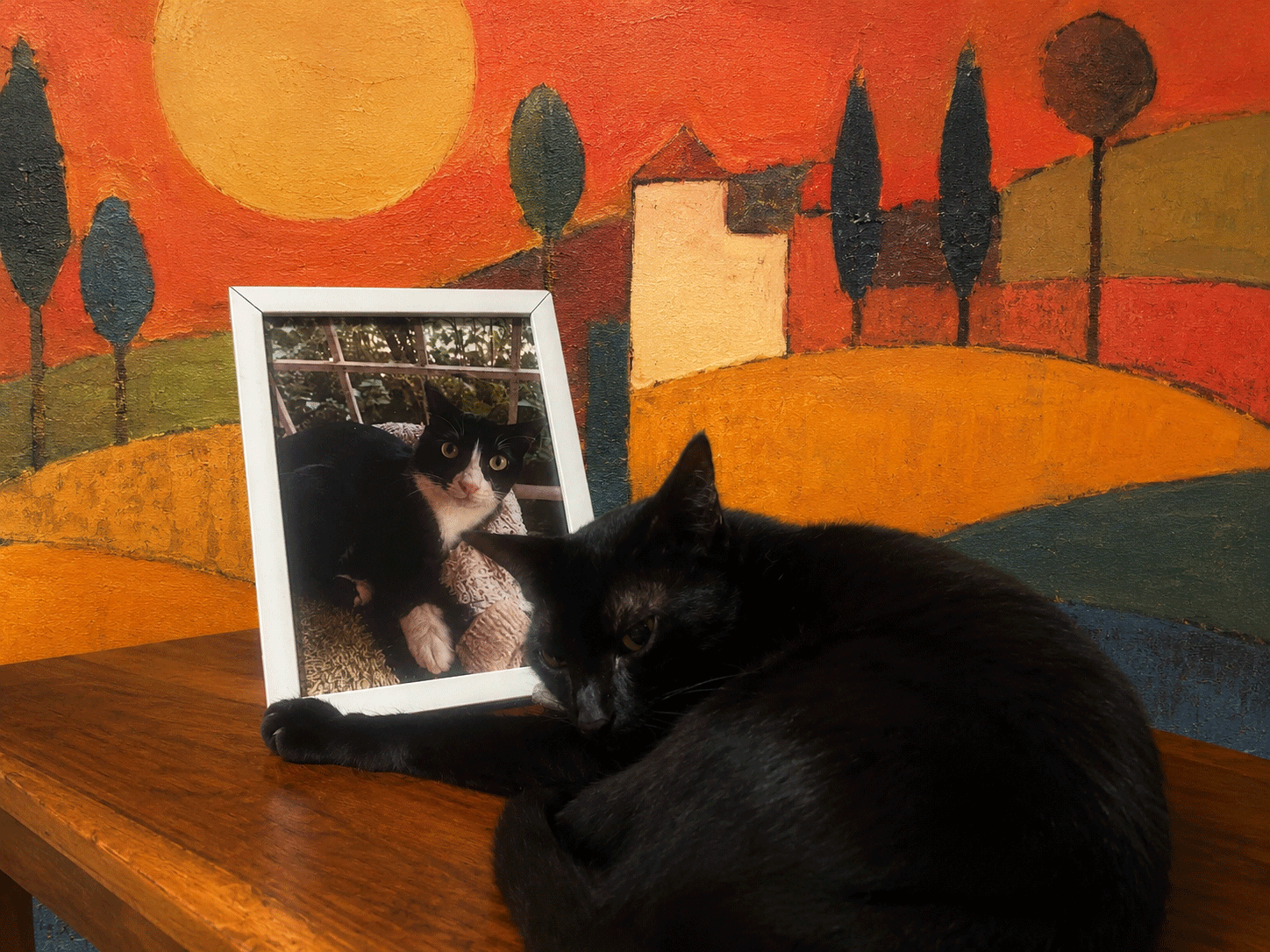 Two cats