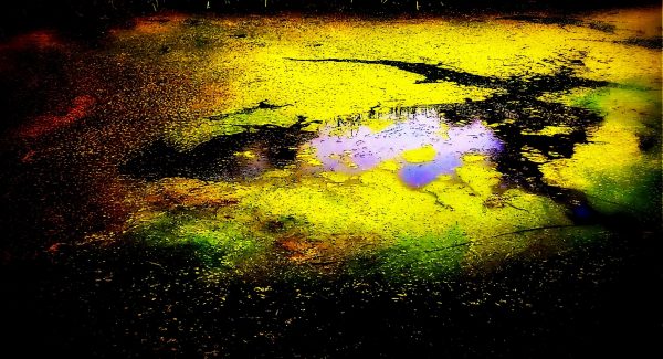 Photography by Dhyan Tarpan