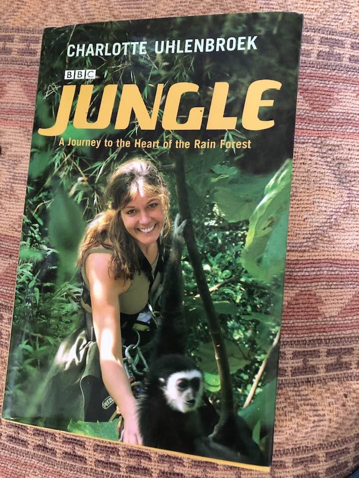 Jungle