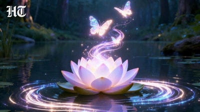 Lotus Hindustan Times