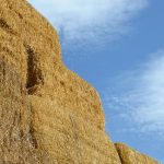 Hay stacks
