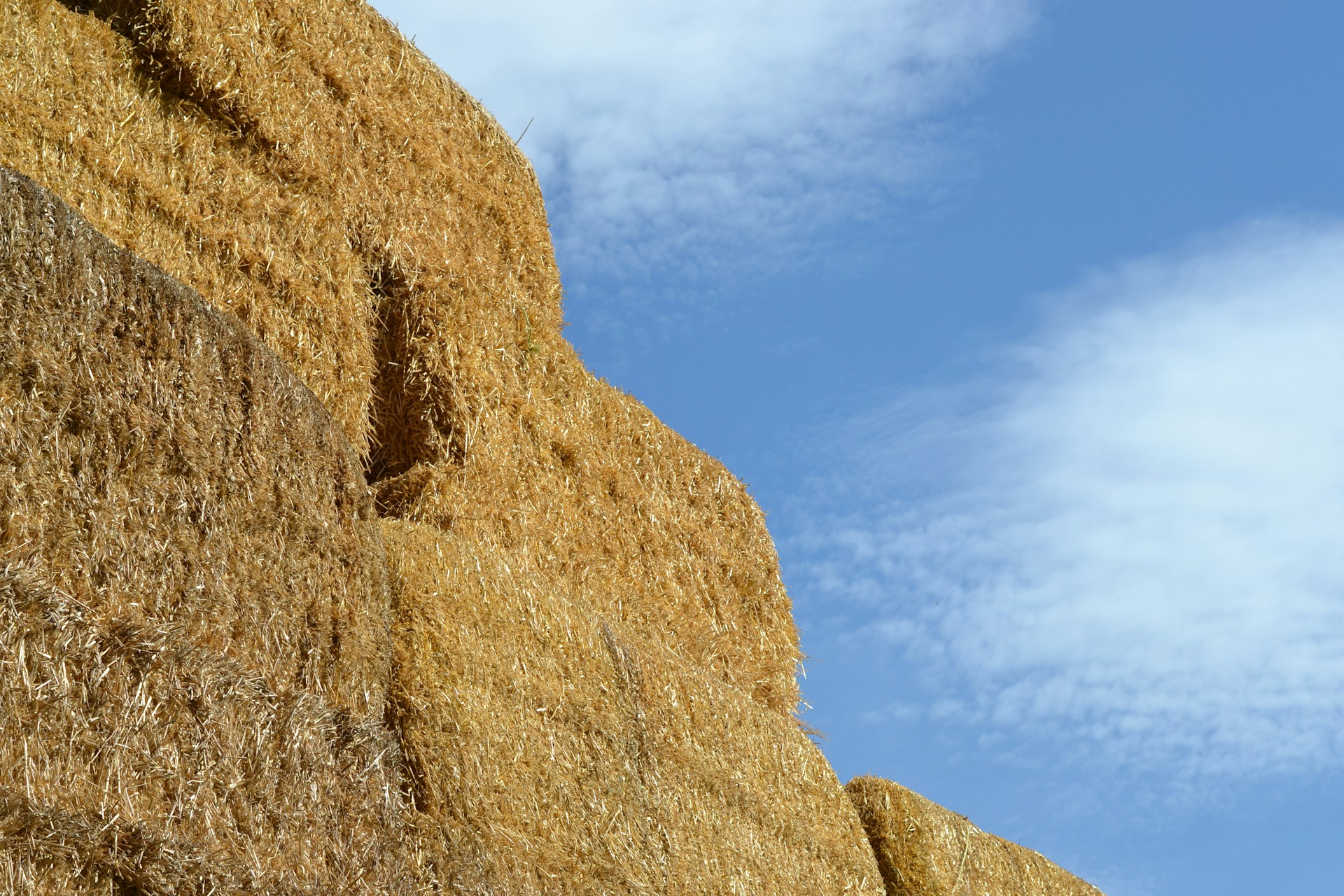 Hay stacks