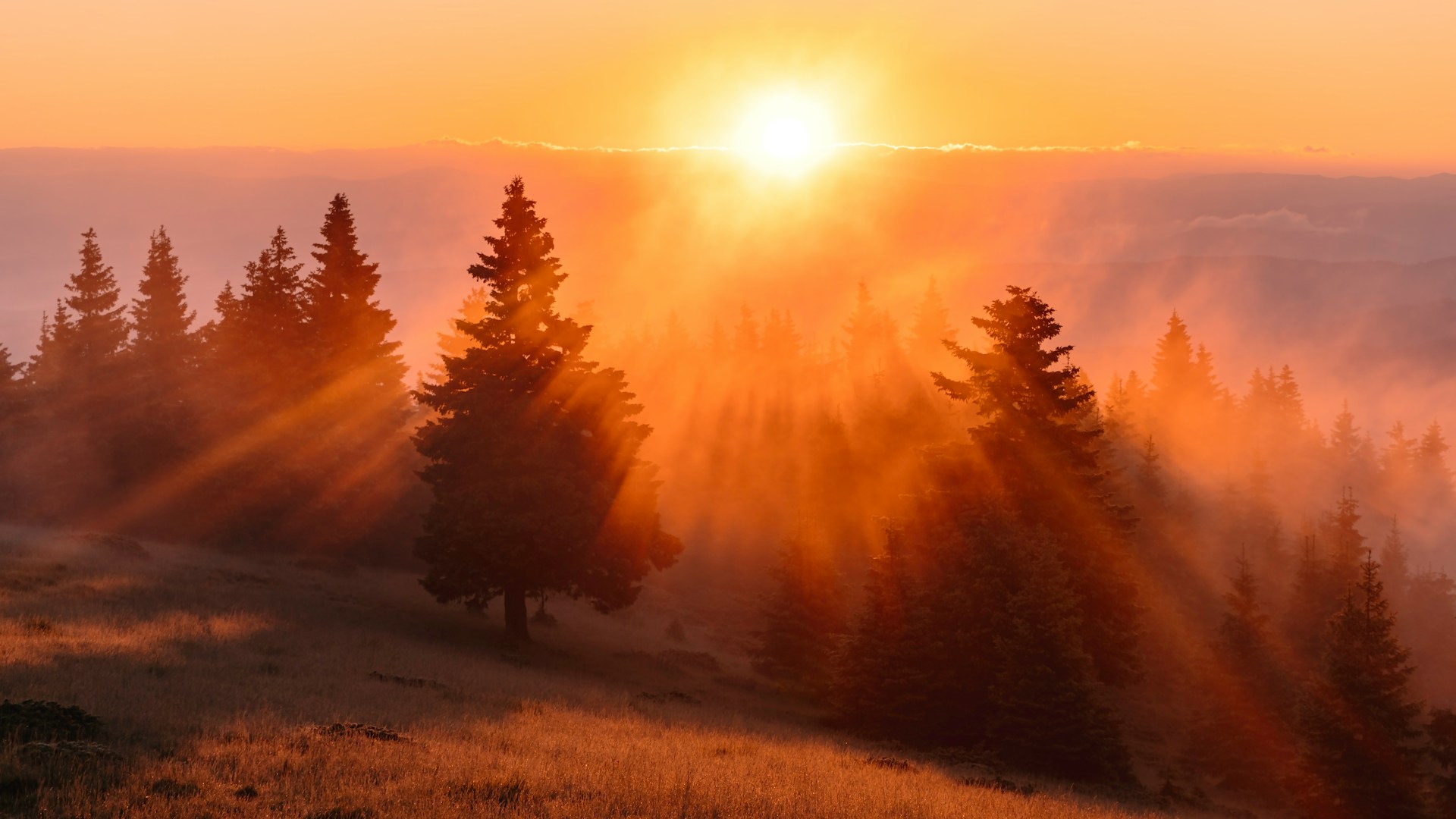 Sunrise