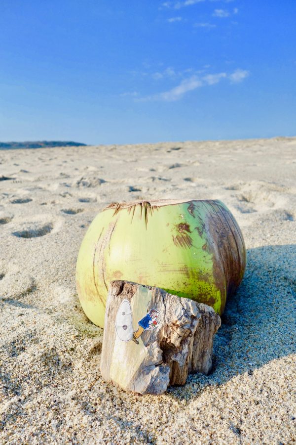 Puerto Escondido
