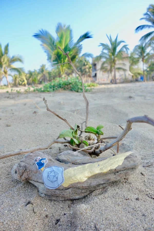 Puerto Escondido
