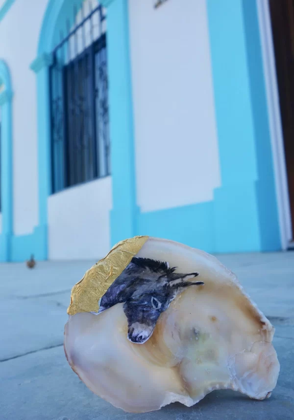 Todos Santos, Baja California Sur