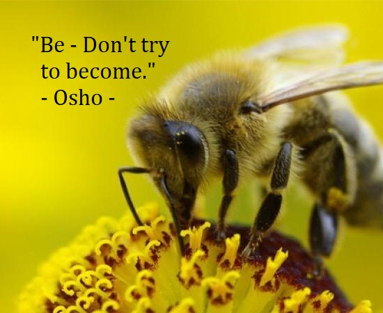 A quote by Osho