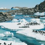 Antarctic