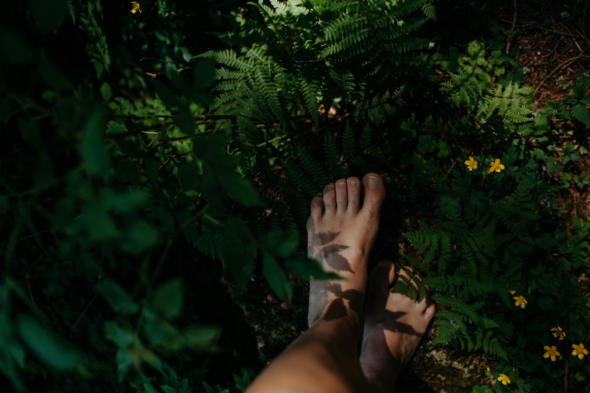 Barefoot in wood