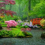 Japanese garden
