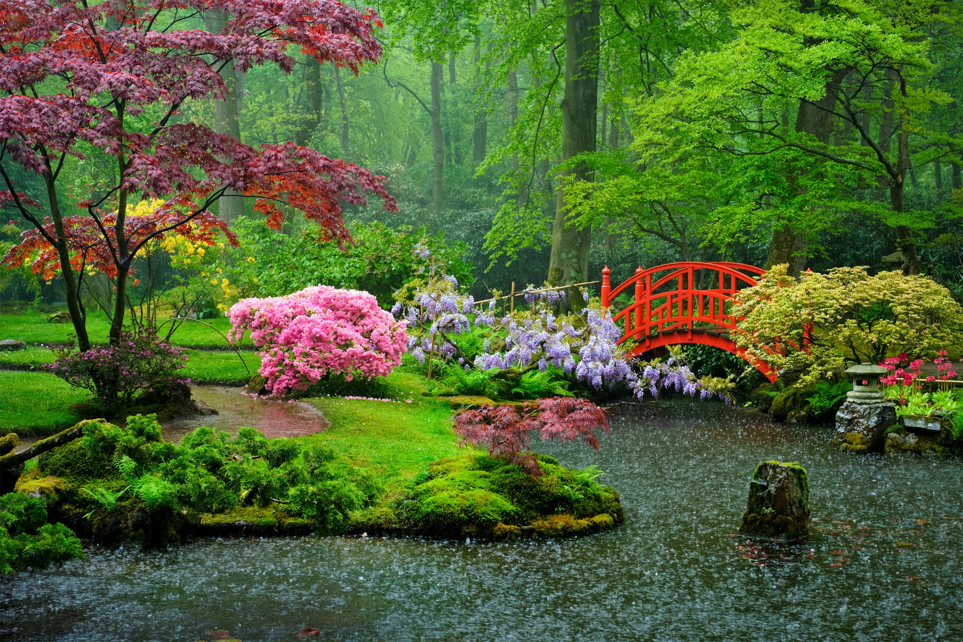 Japanese garden