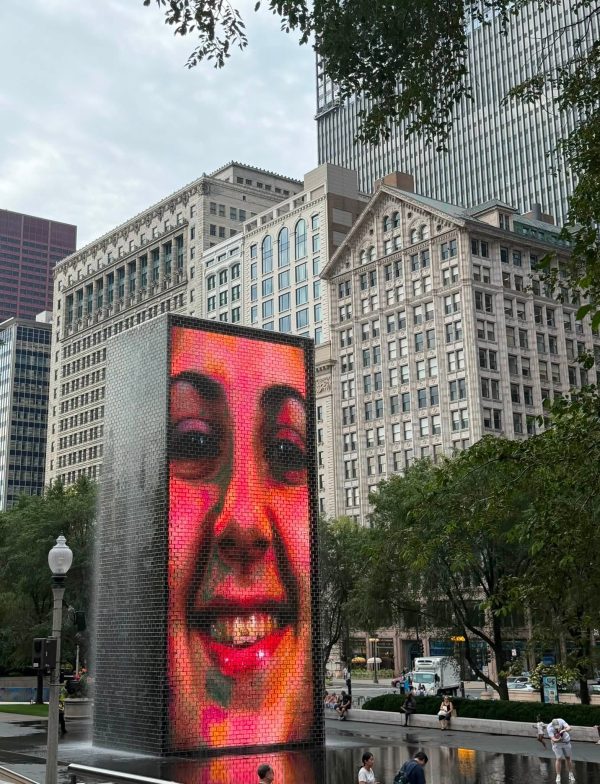 Chicago by Michael Sudheer