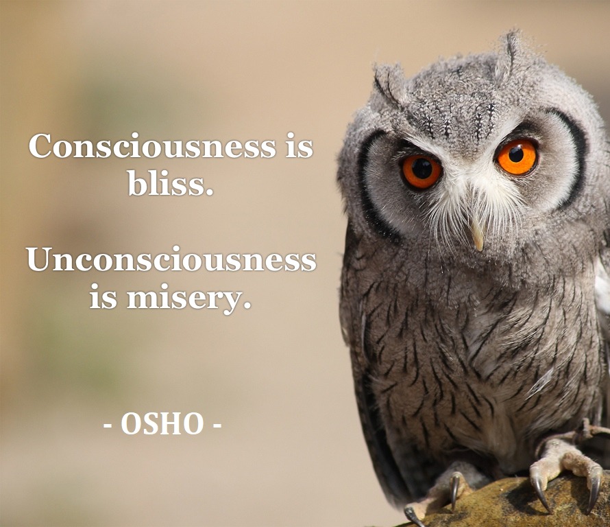 A quote by Osho