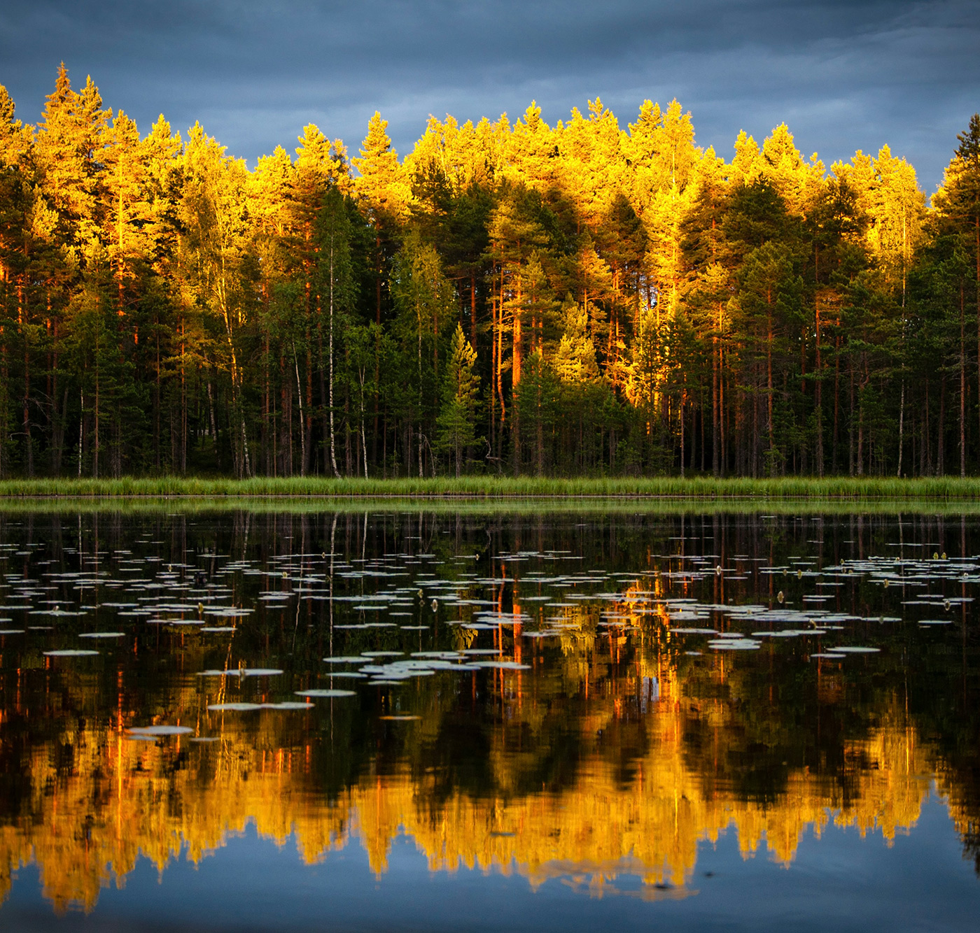 Evening light by Michael Sudheer
