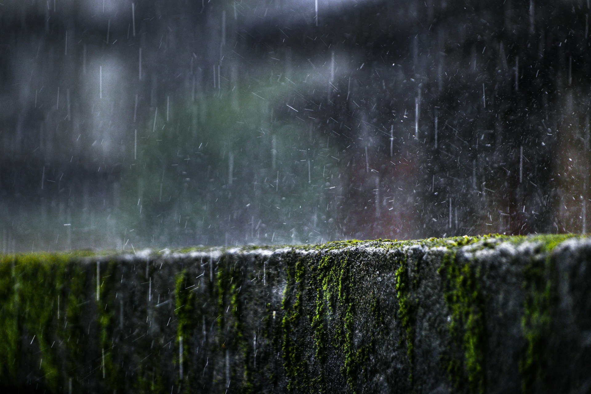 Rain