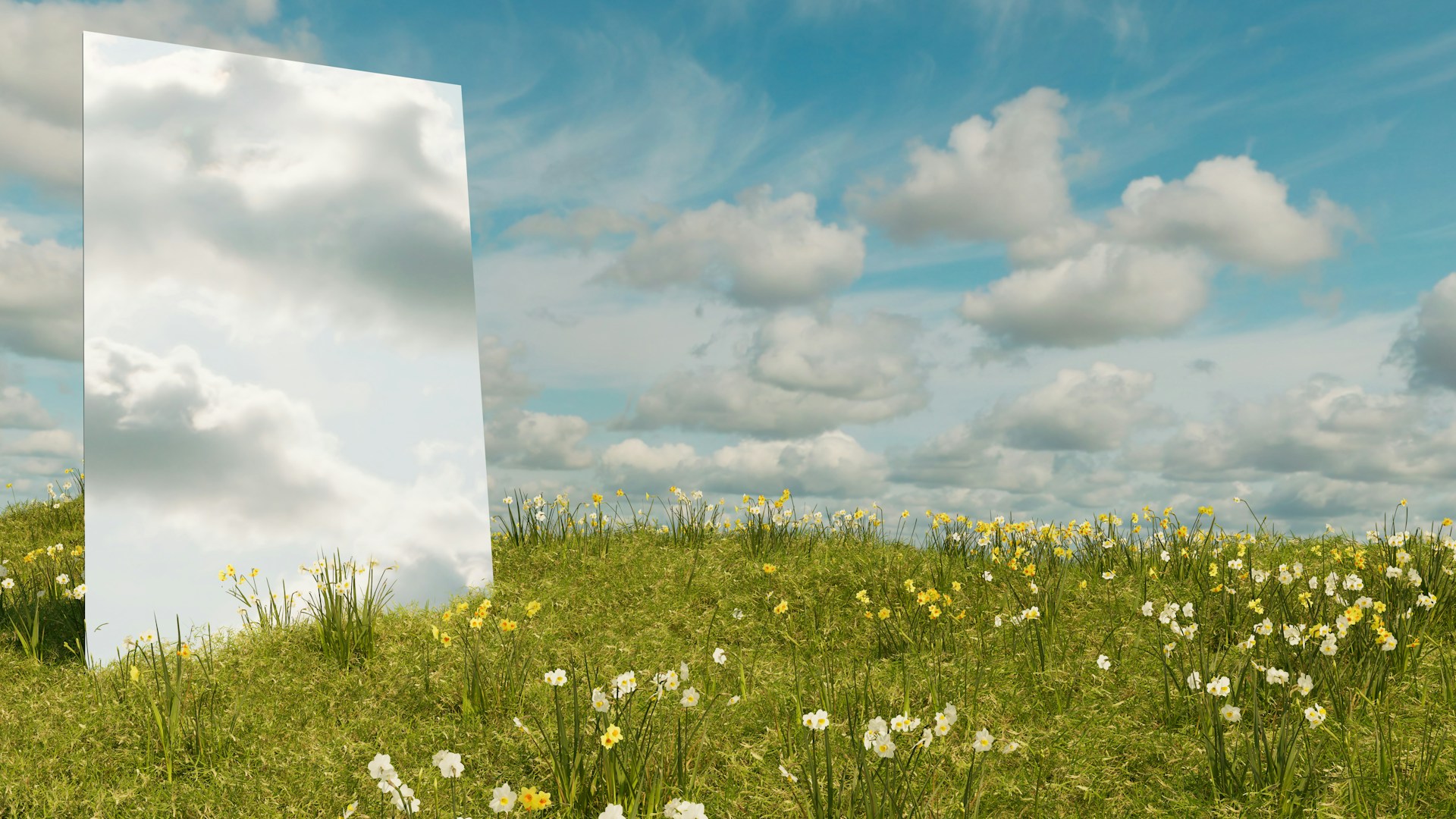Mirrored sky